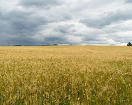 Fields,And,Mountains.,Slovakia